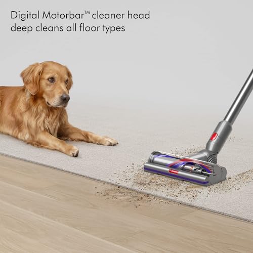 Dyson 448182-02 V15 Detect SV47 - Renewed