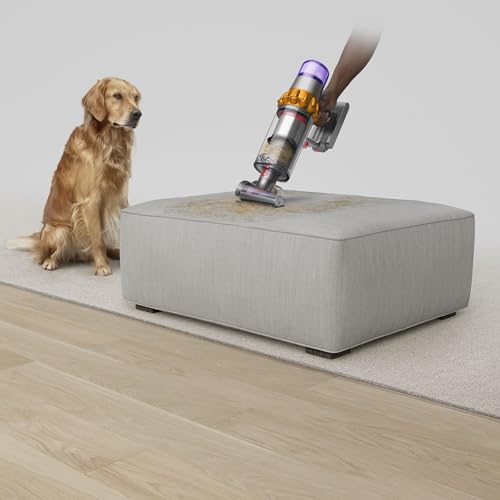 Dyson 448182-02 V15 Detect SV47 - Renewed