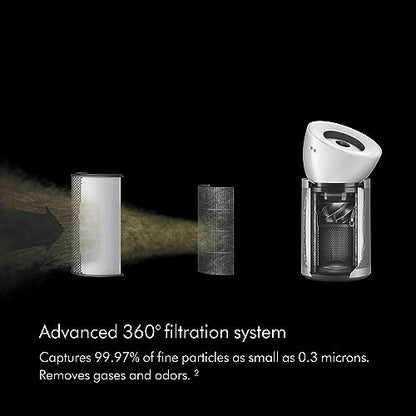 Dyson HEPA Big+Quiet Formaldehyde BP06 Large